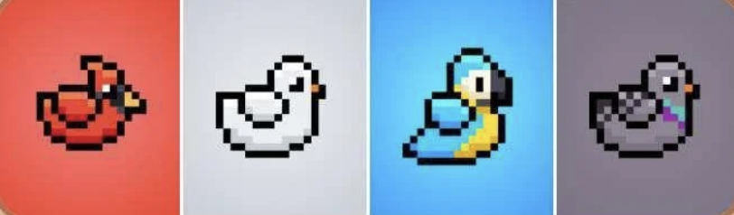 BIRD Daily Combo 7 May 2025